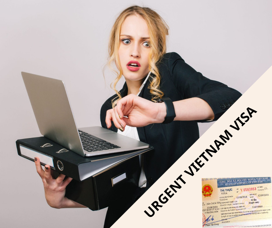 Vietnam 3 Month Visa